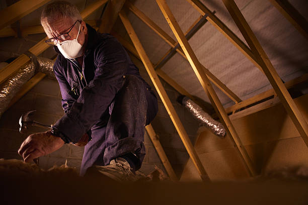 Best Specialized Insulation Services in Elkhorn, WI