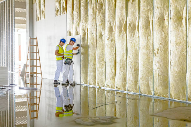 Best Blown-in Insulation in Elkhorn, WI
